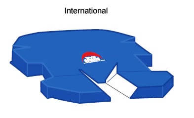 The International