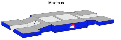 The Maximus